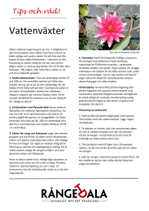 Vattenväxter