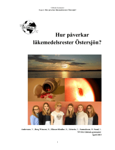 Hur påverkar läkemedelsrester Östersjön?