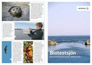 Biotestsjön - Visit Forsmark