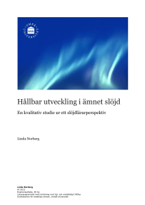 Hållbar utveckling i ämnet slöjd