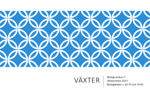 VÄXTER Biologi årskurs 7 Vårterminen 2017 Biologiboken s. 62