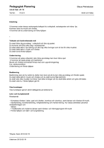 Pedagogisk Planering