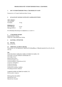 Noromectin vet. 10mgml solution for injection