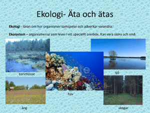 Ekologi - WordPress.com
