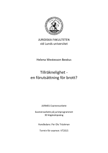 Examensarbete - Lunds universitet