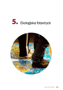 Ekologiska fotavtryck
