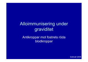 Alloimmunisering under graviditet