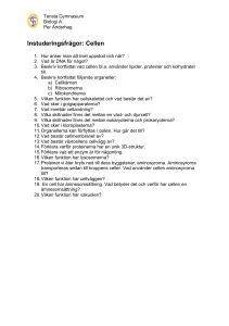 Cellen - anderhag.net