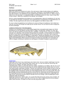 Rolf Lindau Sidan 1 av 4 2007-09-04 00 Ädelfisk vad är det.doc