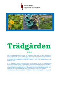 Trädgården