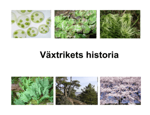 Föreläsning- Växtrikets historia