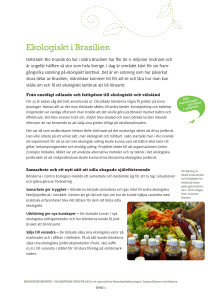 Ekologiskt i Brasilien - Naturskyddsföreningen