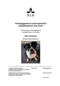 rapportens titel i helvetica 20 fet versaler