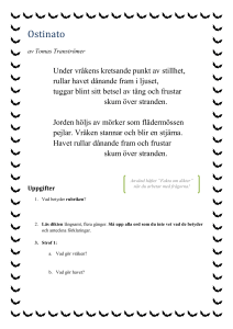 Uppgifter