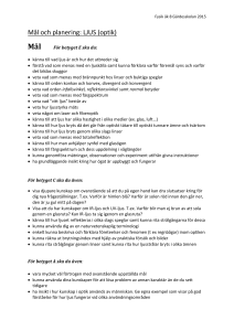 Mål och planering: LJUS (optik)