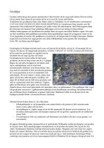 Groddjur Grodors embryologi sker genom metamorfos vilket betyder