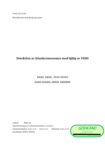 Detektion av könskromosomer med hjälp av FISH