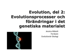 Using sex-limited experimental evolution to detect