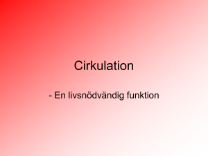 Cirkulation