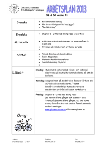 veckobrev v41_5B_webben_2013_dok (119 kB, doc)