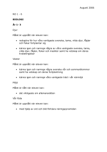 År 4