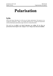 Polarisation