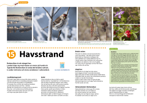 Bottenviken är ett säreget hav. Landet höjer sig med