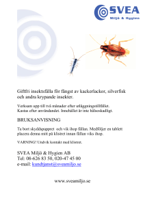Giftfri insektsfälla för fångst av kackerlackor, silverfisk och andra