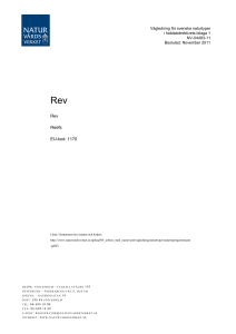 Vägledning - Rev - Naturvårdsverket