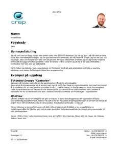 Mikaels konsultprofil