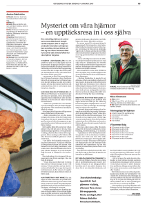 Mysteriet om våra hjärnor