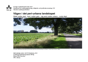Vägen i det peri-urbana landskapet