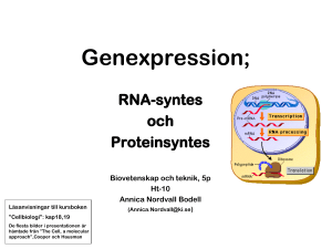 Genexpresssion