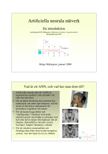 Artificiella neurala nätverk