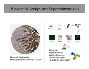 Biokemisk Analys och Separationsteknik