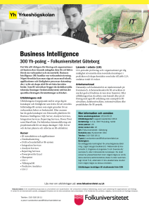 Business Intelligence