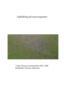 Algbildning på krypvensgreener