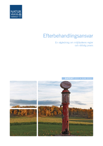 Efterbehandlingsansvar