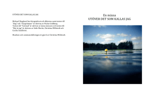PROGRAM UTÖVER DET SOM KALLAS JAG