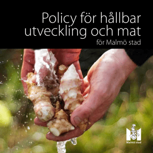 Policy för hållbar utveckling och mat