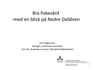Bra fiskevård -med en blick på Nedre Dalälven