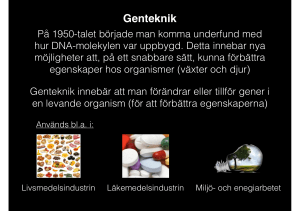 Genteknik