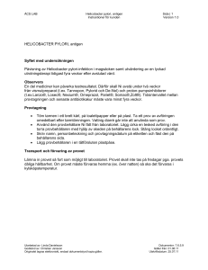 HELICOBACTER PYLORI, antigen