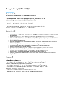 Pedagogisk planering Keminsgrunden