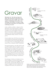 Gravar - Länsstyrelserna