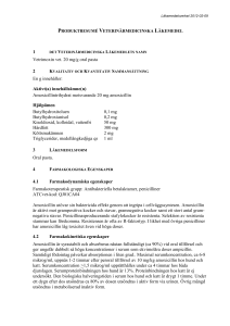 Vetrimoxin vet. 20mg oral paste