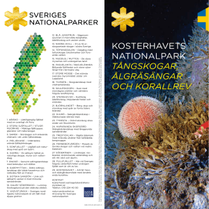 Kosterhavet Natinalpark ISBN: 978-91-620-8411-0