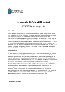 Bevarandeplan för Natura 2000-området