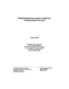 Molekylärgenetisk analys av dilaterad cardiomyopati hos hund