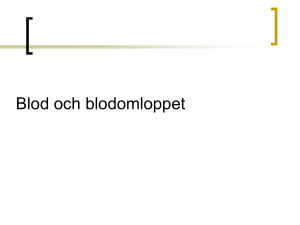 Blodomloppet och hjärtat